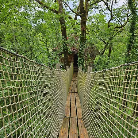 Dans Les Arbres - Les Lutins Kamp alanı