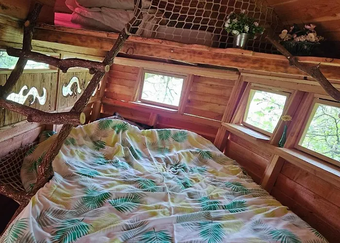 Dans Les Arbres - Les Lutins * Mechmont