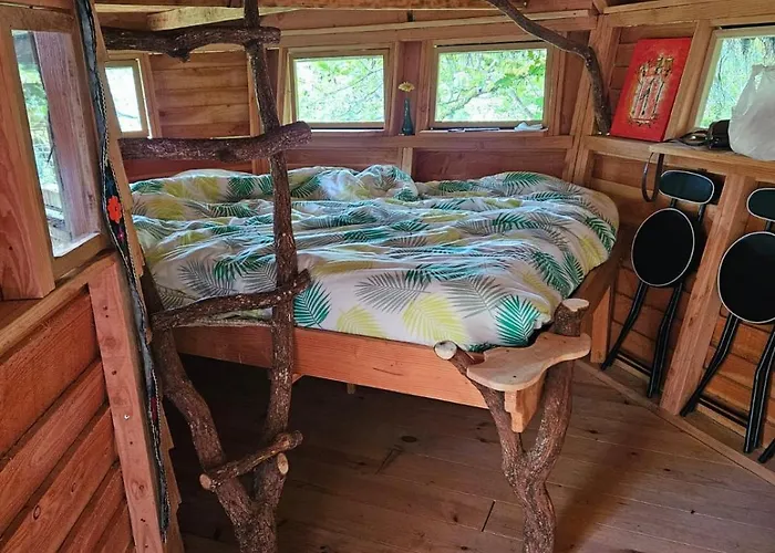 Dans Les Arbres - Les Lutins * Mechmont