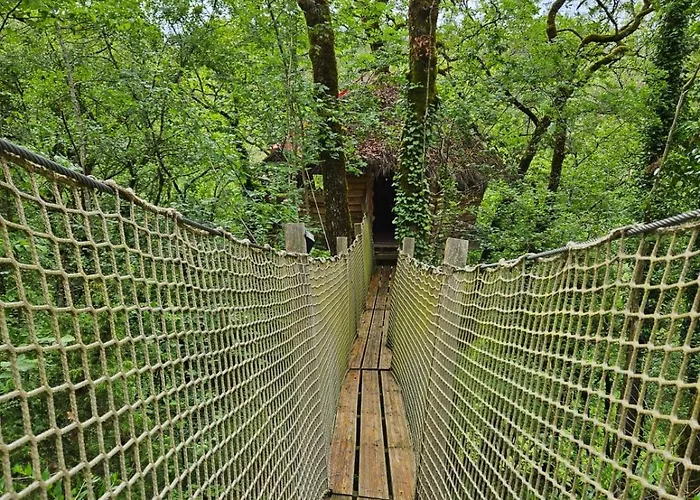 Dans Les Arbres - Les Lutins Camping