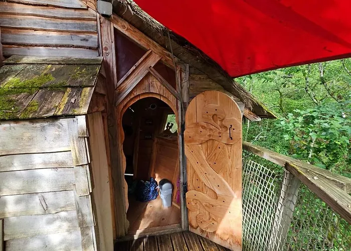 Dans Les Arbres - Les Lutins *